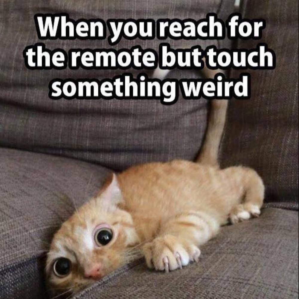 Meet your Posher, Cheryl